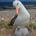 fuckyeahcornthins avatar