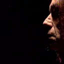 fuckyeahiggypop avatar