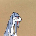 fuckyeahpointlessaus avatar