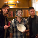 fuckyeahrandomfandomstuff avatar