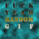 fuckyeahrandomgif avatar