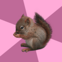 fuckyeahshippersquirrel-blog avatar