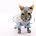 fuckyeahsphynxcatsinsweaters avatar