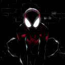 fuckyeahspiderverse avatar