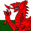 fuckyeahwales-blog avatar