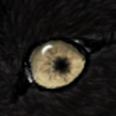 fuckyeahwerewolf avatar