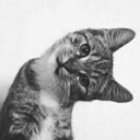 fullxxofxxnothing avatar