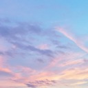 fully-unabashed-bouquet avatar