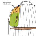 fumblestilskits avatar