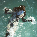 fungalcultist avatar