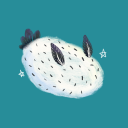 funkyseaslugs avatar