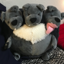 funnythingsandphysics avatar