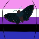 funtimemoth avatar