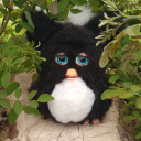 furby-toaster avatar