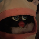 furbybye avatar