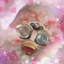 furbycupcakeparty-blog avatar