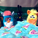 furbypicnic avatar