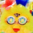 furbypurrs avatar