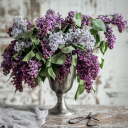 furiousnerdcloud avatar