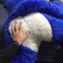 fursuitbutts avatar