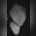 futilitys-forgotten-soldier avatar