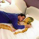 futuristiccashhoagieshark avatar