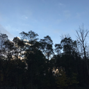 fxckedxptragedy avatar