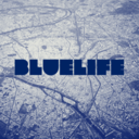 fybluelife avatar