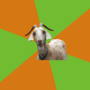 fyeahibgoat avatar