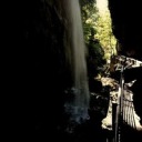 fyeahpeterquinn avatar