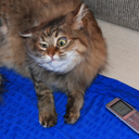 g00by-pls-blog avatar