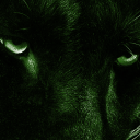 g1venchydress avatar