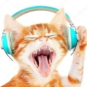 gabifresitaaa avatar