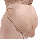 gainingtillpigsfly avatar