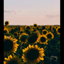 galacticnerd-78 avatar