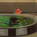 galaxiacrossing avatar