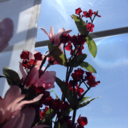 galaxyofnoodles avatar