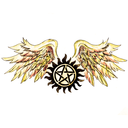 gallifreyanthoughts avatar