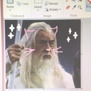 gandalfthecat avatar