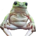 ganglyfrog avatar