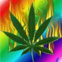 ganja-me-up-blog avatar