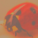 garbage-creature avatar