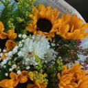 gardenofchaoss avatar