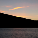 gardenofimagery avatar