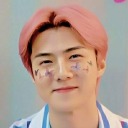 gardenofsehun avatar