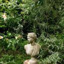 gardensecrets avatar