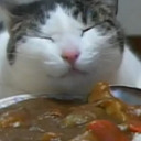 garubuttsniffer avatar