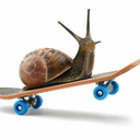 gastropods avatar