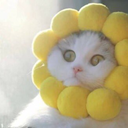 gay-minion-lover avatar