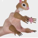 gay-rodent avatar